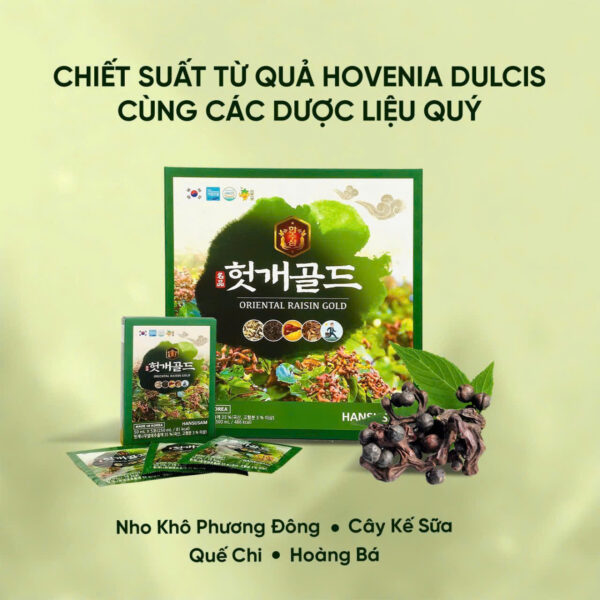 Bổ gan Hansusam Oriental Raisin Gold Hàn Quốc - Ảnh 2